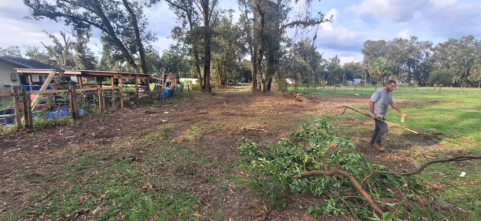 Cleared lot with bare soil, cut tree limbs and leafy brush piles, worker raking debris, wood fence and oak trees