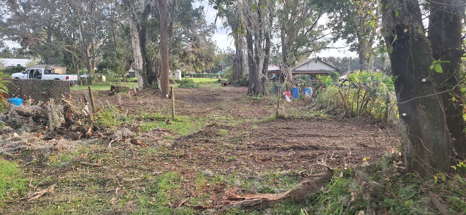 Cleared yard with bare soil, brush piles, fallen limbs, and Spanish moss-draped oak trees along the perimeter